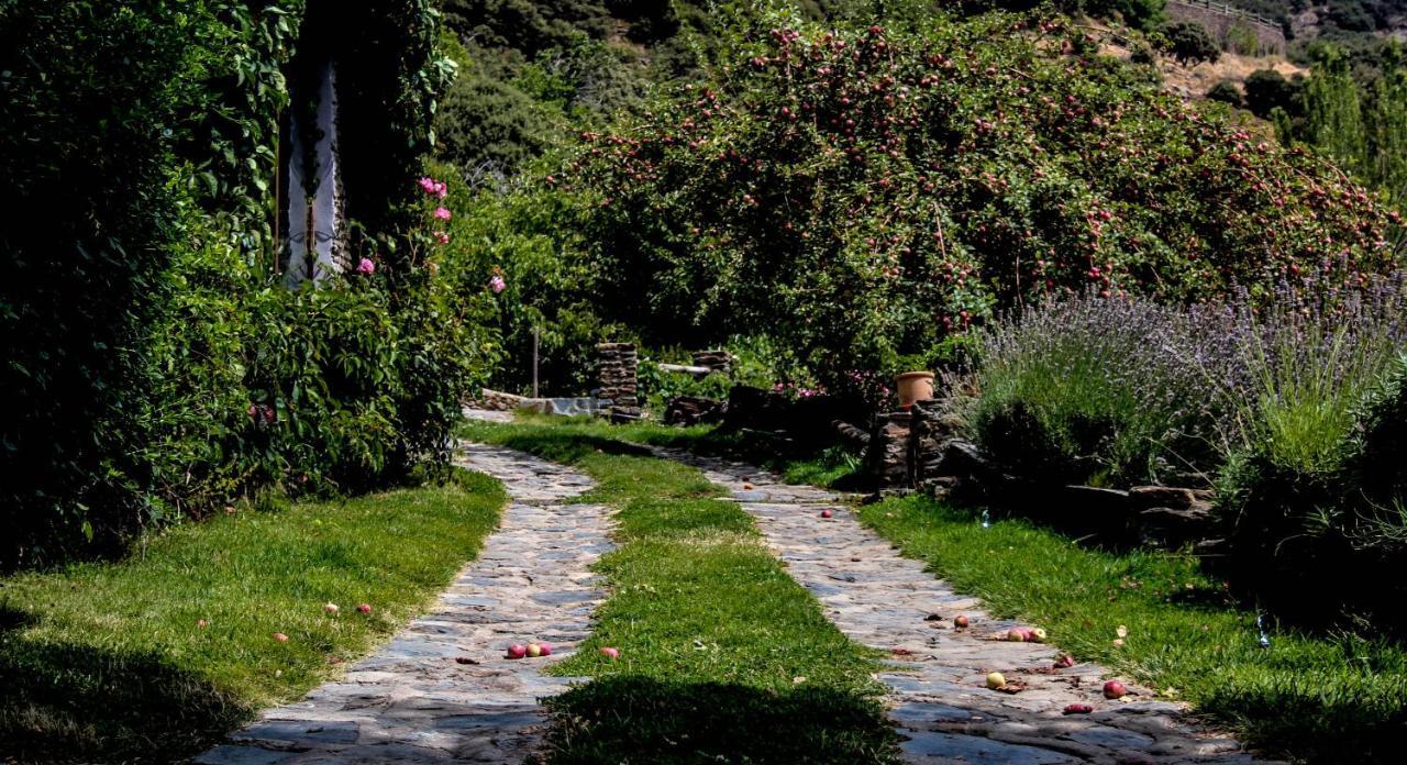 Casa Rural Catifalarga Alpujarra Capileira Luaran gambar