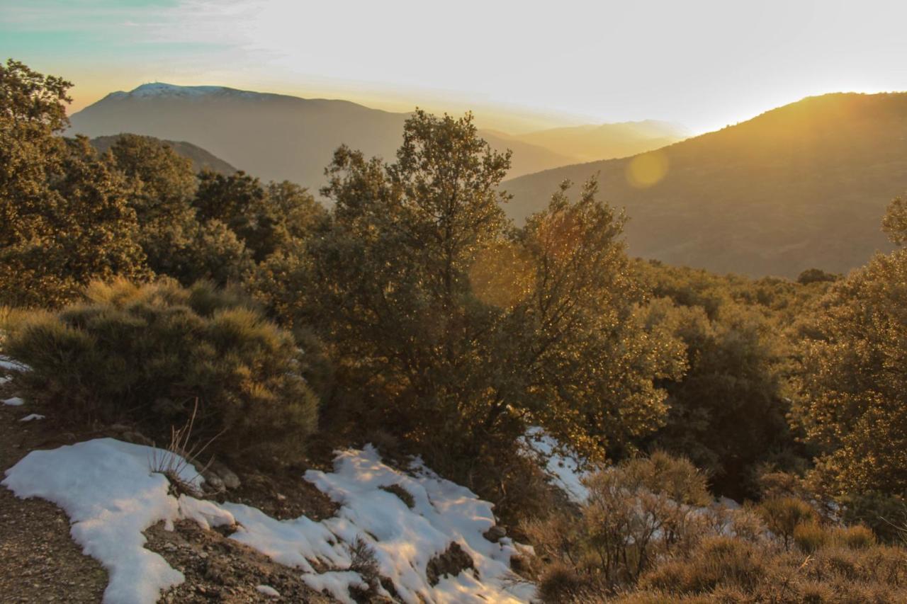 Casa Rural Catifalarga Alpujarra Capileira Luaran gambar